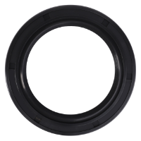AGCO LIP SEAL 3619231M1 Parts - True Ag & Turf