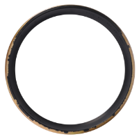 AGCO SCRAPER RING 3010457X1 Parts - True Ag & Turf