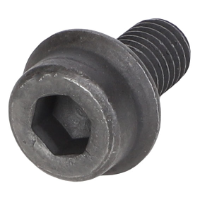 AGCO LOCK SCREW 72437871 Parts - True Ag & Turf