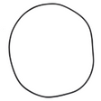 AGCO O-RING 72484003 Parts - True Ag & Turf