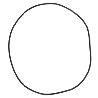 AGCO O-RING 72484003 Parts - True Ag & Turf
