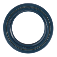 AGCO SEAL 061219R1 Parts - True Ag & Turf