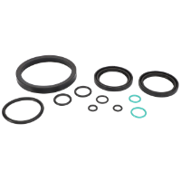 AGCO SEALS KIT VA262272 Parts - True Ag & Turf