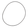 AGCO O-RING 3785429M1 Parts - True Ag & Turf