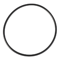 AGCO O-RING 3001894X1 Parts - True Ag & Turf