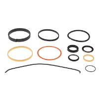 AGCO SEAL KIT 700723489 Parts - True Ag & Turf