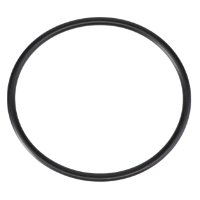 AGCO O-RING 70923856 Parts - True Ag & Turf
