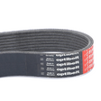 AGCO Serpentine Belt, PK8 Profile V685081450 Parts - True Ag & Turf