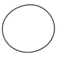 AGCO O-Ring 70924921 Parts - True Ag & Turf
