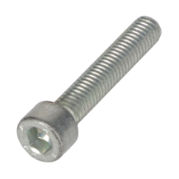 AGCO SCREW 3909324M1 Parts - True Ag & Turf