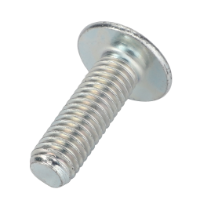 AGCO SCREW FEL128975 Parts - True Ag & Turf