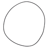 AGCO O-RING 3760819M1 Parts - True Ag & Turf