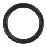 AGCO O-RING 6244545M1 Parts - True Ag & Turf