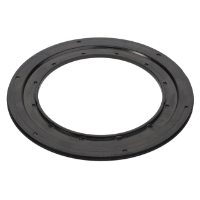 AGCO SEAL 3619138M1 Parts - True Ag & Turf
