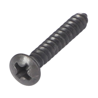 AGCO SCREW 72433918 Parts - True Ag & Turf