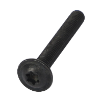 AGCO TORX HEAD SCREW ACW7056650  - True Ag & Turf