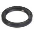 AGCO RADIAL SEALING RING 391316X1 Parts - True Ag & Turf