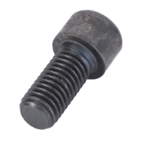 AGCO HEX SOCKET SCREW V581705425 Parts - True Ag & Turf