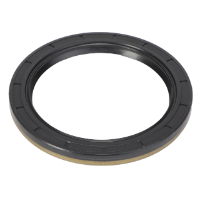 AGCO Seal Kit WR38078 Parts - True Ag & Turf