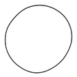 AGCO O-RING 72614998 Parts - True Ag & Turf