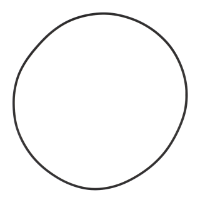 AGCO O-RING 72614998 Parts - True Ag & Turf
