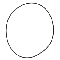 AGCO O-RING 72420959 Parts - True Ag & Turf