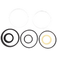 AGCO Seal Kit, Steering Cylinder 1606890M91 Parts - True Ag & Turf