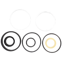 AGCO Seal Kit, Steering Cylinder 1606890M91 Parts - True Ag & Turf