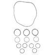 AGCO SEALS KIT 517396M91 Parts - True Ag & Turf