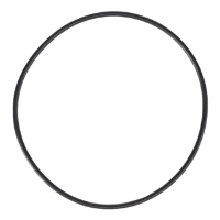 AGCO O-RING 4260497M1 Parts - True Ag & Turf