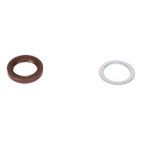 AGCO SHAFT SEAL ACP0019710 Parts - True Ag & Turf