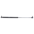 AGCO Gas Strut, Window V37466100 Parts - True Ag & Turf