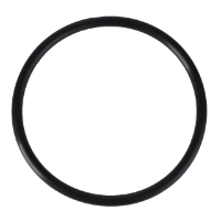 AGCO O-RING 70923974 Parts - True Ag & Turf
