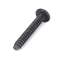 AGCO Screw 72625921 Parts - True Ag & Turf