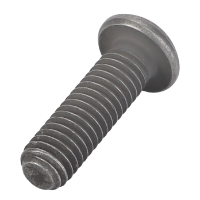 AGCO ROUND HEAD SCREW ACP0702520 Parts - True Ag & Turf