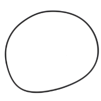 AGCO O-RING 4358444M1 Parts - True Ag & Turf