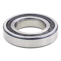 AGCO BEARING 6286968M1 Parts - True Ag & Turf