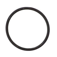 AGCO O-RING SEAL 700731725 Parts - True Ag & Turf