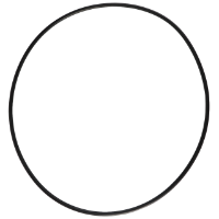 AGCO O-RING 70924153 Parts - True Ag & Turf