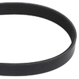 AGCO MICRO-V BELT 700750300 Parts - True Ag & Turf