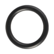 AGCO O-RING 1079995M1 Parts - True Ag & Turf