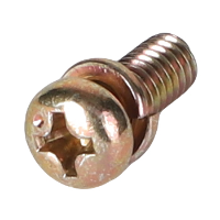 AGCO SCREW 3702189M1 Parts - True Ag & Turf