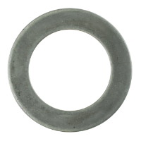 AGCO SHIM ACP0444810  - True Ag & Turf