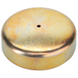 AGCO CUP PLUG 4271289M1 Parts - True Ag & Turf