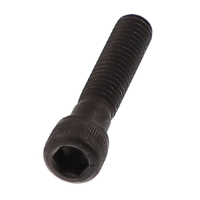 AGCO SCREW 70924100 Parts - True Ag & Turf