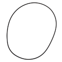AGCO O-RING 72344867 Parts - True Ag & Turf
