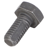 AGCO SCREW 74322188 Parts - True Ag & Turf