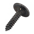 AGCO SCREW FEL102664 Parts - True Ag & Turf