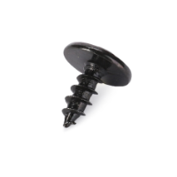 AGCO SCREW 4281430M1 Parts - True Ag & Turf