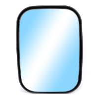 AGCO Mirror 4289853M91 Parts - True Ag & Turf